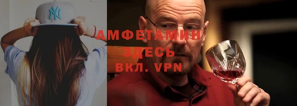 мет Алексин