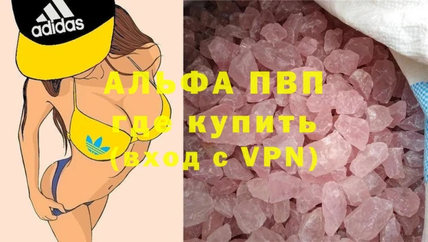 ECSTASY Приозерск